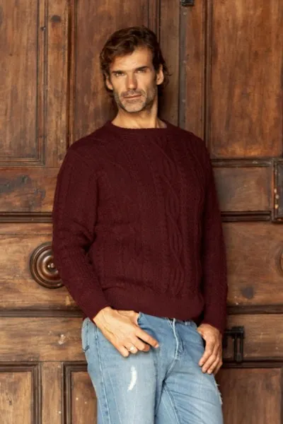 Alternate image for Dark Red Mens 100 Alpaca Sweater Field and Forest