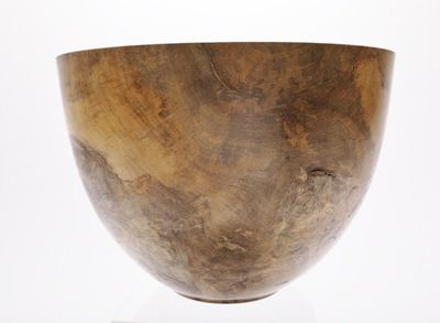 Alternate image for #1789 Wormy Magnolia Burl Wooden Bowl   12 1/2 X 9 1/4